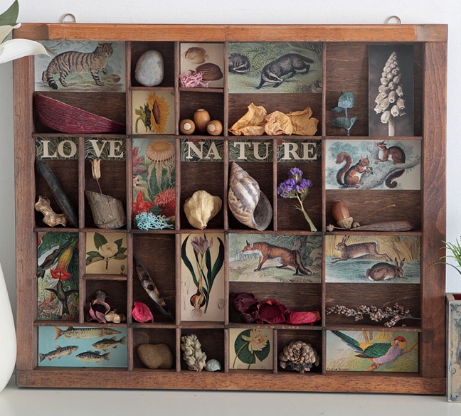 Antique printers type case re purposed and up cycled as a display of quirky items from the natural world