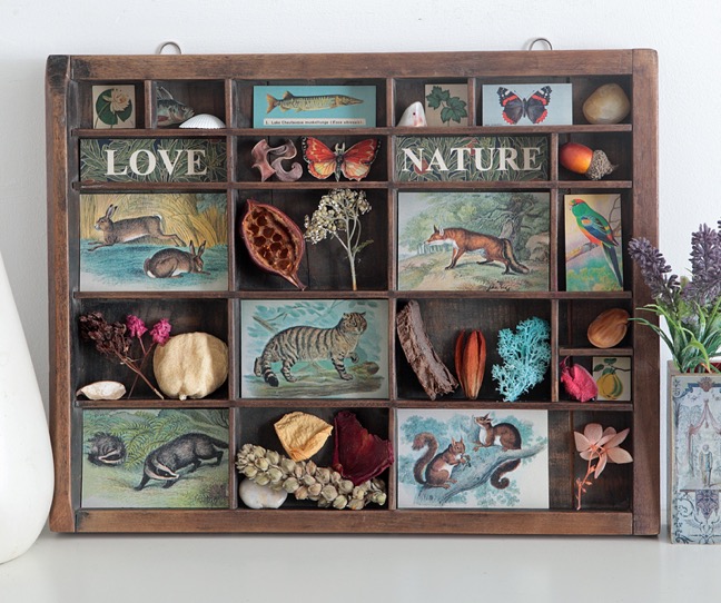 Antique printers type case re purposed and up cycled as a display of quirky items from the natural world