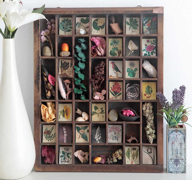 Antique printers type case re purposed and up cycled as a display of quirky items from the natural world