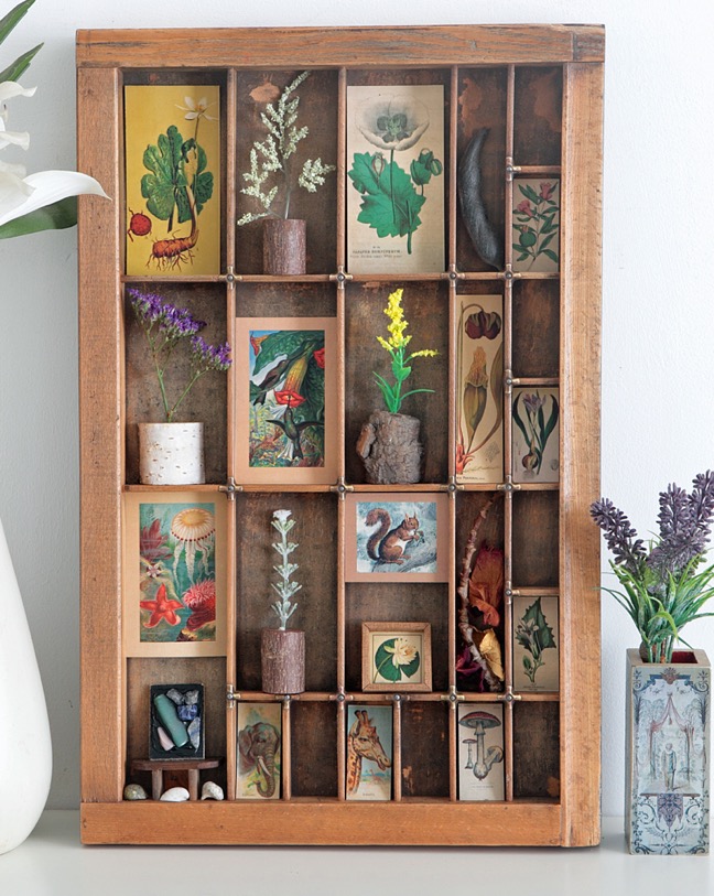 Antique printers type case re purposed and up cycled as a display of quirky items from the natural world