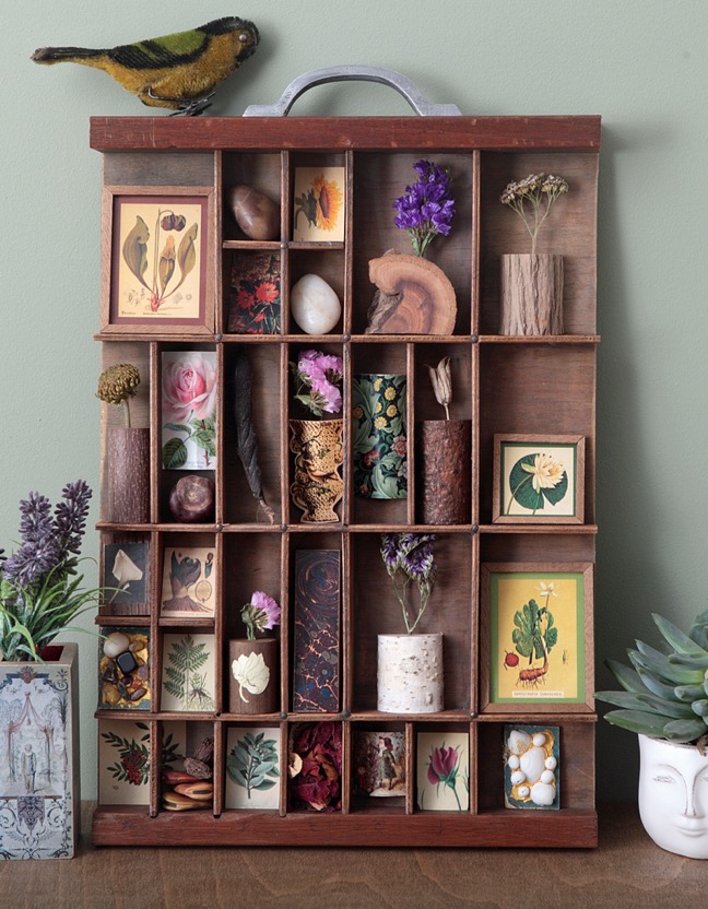 Antique printers type case re purposed and up cycled as a display of quirky items from the natural world